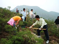 東芝(中國)2007年度公益植樹(shù)助學(xué)活動(dòng)