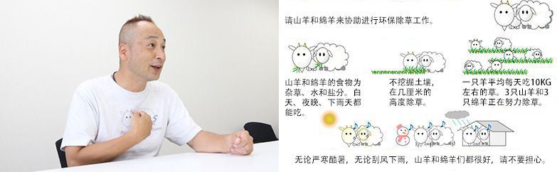 為了加深大家對“山羊和綿羊除草”的理解，制作Ｔ恤衫和看板。